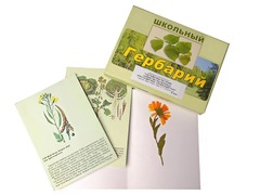 Гербарий "Систематика растений. Семейство Пасленовые. Крестоцветные. Сложноцветные" (раздаточный) - fgospostavki.ru - Балашиха