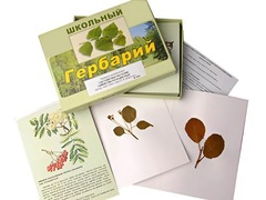 Гербарий "Систематика растений. Семейство Розоцветные" (раздаточный) - fgospostavki.ru - Балашиха
