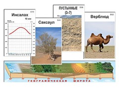 Модель-аппликация "Природные зоны" - fgospostavki.ru - Балашиха