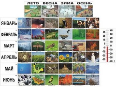 Фенологические наблюдения - fgospostavki.ru - Балашиха