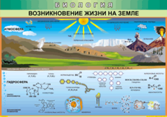 Таблица "Возникновение жизни на земле" (100х140 сантиметров, винил) - fgospostavki.ru - Балашиха