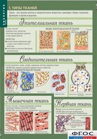 Комплект таблиц. Биология 8-9 класс. Человек. - fgospostavki.ru - Балашиха