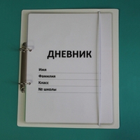 Дневник школьника (с полным набором карточек) - fgospostavki.ru - Балашиха