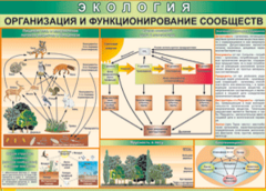 Таблица "Организация и функционирование сообществ" (100х140 сантиметров, винил) - fgospostavki.ru - Балашиха