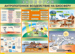Таблица "Антропогенное воздействие на биосферу" (100х140 сантиметров, винил) - fgospostavki.ru - Балашиха