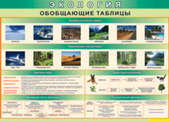 Таблица "Экология. Обобщающие таблицы" (100х140 сантиметров, винил) - fgospostavki.ru - Балашиха