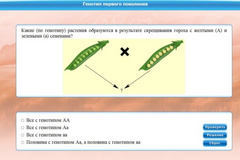 Интерактивные курсы. Биология 11 класс. Базовый. - fgospostavki.ru - Балашиха