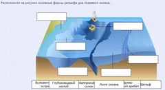 Интерактивные курсы. География 7 класс . Базовый. - fgospostavki.ru - Балашиха
