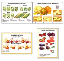 Плакаты ПРОФТЕХ "Ассортимент овощных культур" (12 пл, винил, 70х100) - fgospostavki.ru - Балашиха