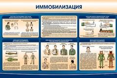 Стенд "Иммобилизация" - fgospostavki.ru - Балашиха