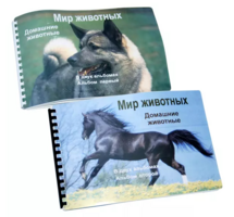 Пособие для слабовидящих - Домашние животные - fgospostavki.ru - Балашиха