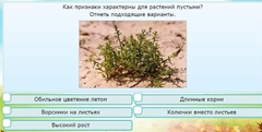 Интерактивные курсы. Окружающий мир 3 класс . Базовый. - fgospostavki.ru - Балашиха