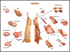 Таблица "Правила разделки мясных туш. Свинина" (100х140 сантиметров. винил) - fgospostavki.ru - Балашиха