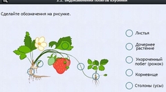 Интерактивные курсы. Биология 7 класс. Расширенный. - fgospostavki.ru - Балашиха