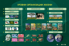 Электрифицированный стенд "Уровни организации жизни" - fgospostavki.ru - Балашиха