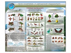 Стенд "Как выжить в суровых условиях" - fgospostavki.ru - Балашиха