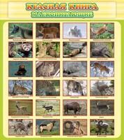 Стенд "Красная книга - млекопитающие" - fgospostavki.ru - Балашиха