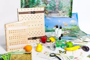 Учебно-методический набор для проектной деятельности в ДОО №1–ЕН (химия, биология, анатомия)  - fgospostavki.ru - Балашиха