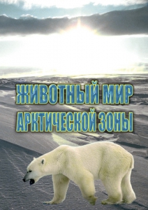 DVD "Животный мир Арктической зоны" - fgospostavki.ru - Балашиха