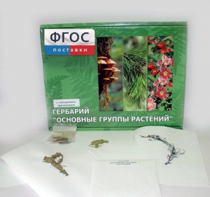 Гербарий "Основные группы растений" (52 листа) - fgospostavki.ru - Балашиха