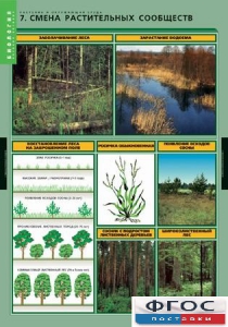 Комплект таблиц. Биология. Растения и окружающая среда. - fgospostavki.ru - Балашиха