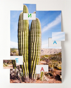 Магнитная орфография (безударные гласные, 1 класс) "Кактус" - fgospostavki.ru - Балашиха