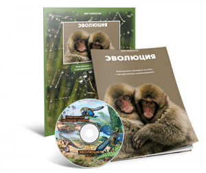 Электронное наглядное пособие «Эволюция» - fgospostavki.ru - Балашиха