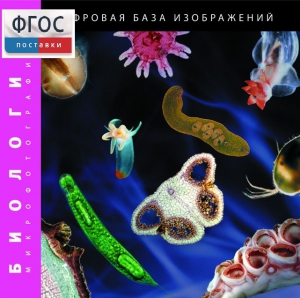 Биология. Микрофотографии. (Цифровая база изображений) - fgospostavki.ru - Балашиха