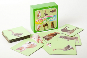 Набор магнитных карточек "Устный счет" (фон зеленый) - fgospostavki.ru - Балашиха