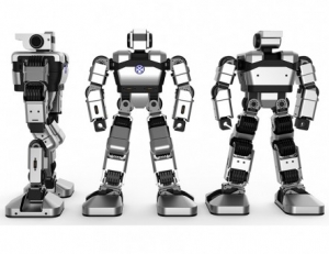 Образовательная платформа для обучения программирования гуманоидный робот Yanshee - fgospostavki.ru - Балашиха