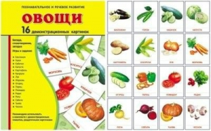 Демонстрационные карточки "Овощи" - fgospostavki.ru - Балашиха