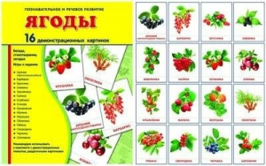 Демонстрационные карточки "Ягоды" - fgospostavki.ru - Балашиха
