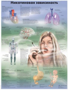 Плакат "Никотиновая зависимость" ламинированный - fgospostavki.ru - Балашиха