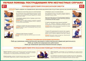 Таблица "Порядок действий при внезапной смерти" (100х140 сантиметров, винил) - fgospostavki.ru - Балашиха