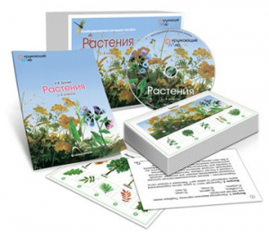 Комбинированное наглядное пособие «Растения» - fgospostavki.ru - Балашиха