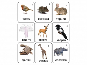 Набор магнитных карточек по музыке "Животные" (9 штук) - fgospostavki.ru - Балашиха