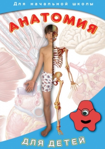 DVD "Анатомия для детей" - fgospostavki.ru - Балашиха