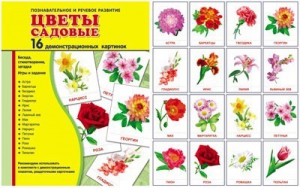 Демонстрационные карточки "Цветы садовые" - fgospostavki.ru - Балашиха