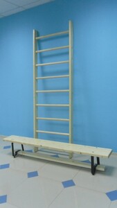 Стенка гимнастическая шведская премиум (1000х3200 мм) - fgospostavki.ru - Балашиха