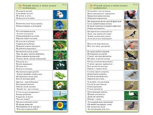 Комплект карточек (10) "Обучающий калейдоскоп. Природа" - fgospostavki.ru - Балашиха