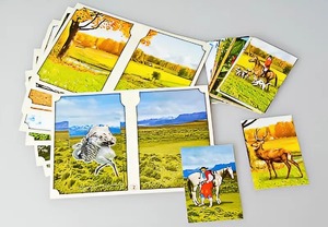 Настольно-печатная игра "Вокруг света" - fgospostavki.ru - Балашиха