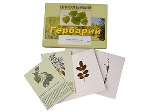 Гербарий "Деревья и кустарники" (22 вида, с иллюстрациями) - fgospostavki.ru - Балашиха