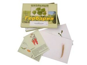 Гербарий "Культурные растения" (30 видов, с иллюстрациями) - fgospostavki.ru - Балашиха