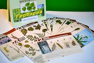Гербарий к курсу основ общей биологии - fgospostavki.ru - Балашиха
