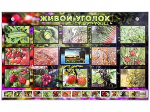 Комплект оборудования "Живой уголок" (растения) с тифлопереводом и сурдокомментариями - fgospostavki.ru - Балашиха