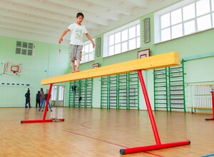 Бревно гимнастическое напольное постоянной высоты (700 мм) (5 м) - fgospostavki.ru - Балашиха