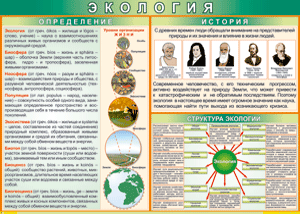 Таблица "Экология. Определения и история" (100х140 сантиметров, винил) - fgospostavki.ru - Балашиха