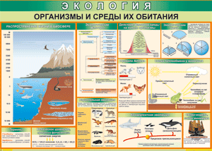 Таблица "Организмы и среды их обитания" (100х140 сантиметров, винил) - fgospostavki.ru - Балашиха