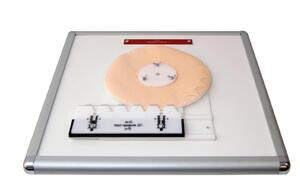 Комплекс "Изучение зубьев" - fgospostavki.ru - Балашиха