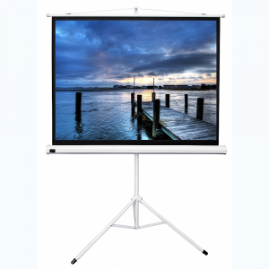 Экран на штативе DSKD-4302 - fgospostavki.ru - Балашиха